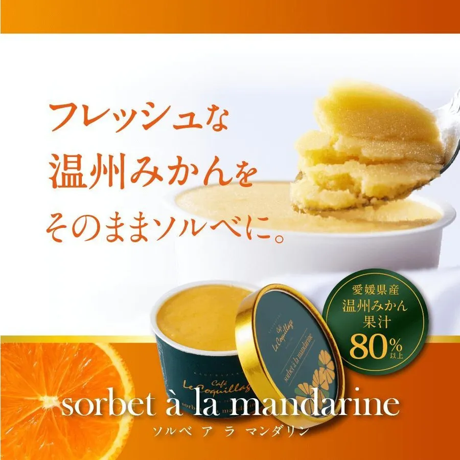 アイスクリーム＆ソルベ 8個セット （バニラ／ショコラ／抹茶／みかん