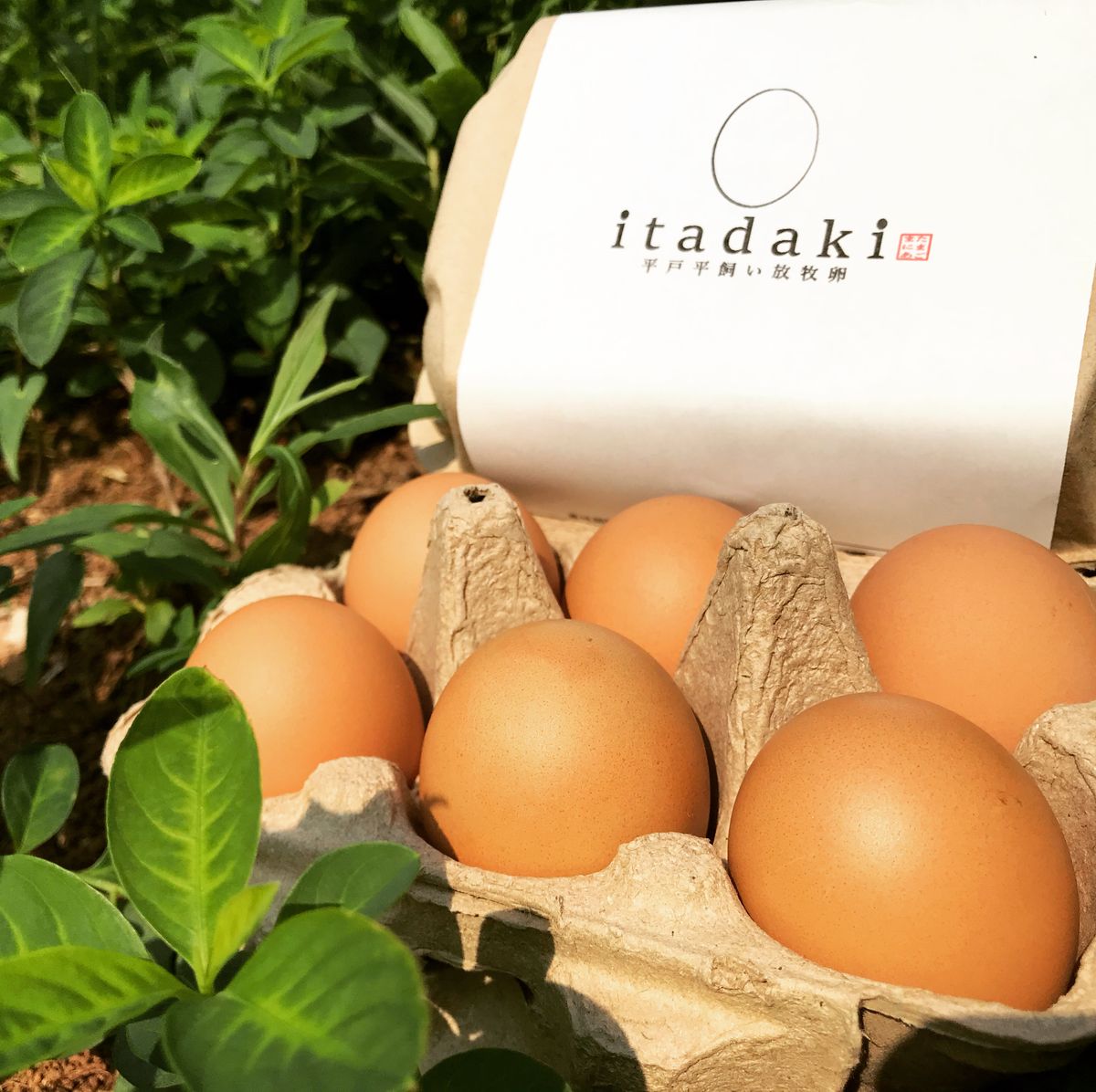 平飼い放牧卵 itadaki (24個）（ナチュラルエッグラボ）｜おとりよせネット