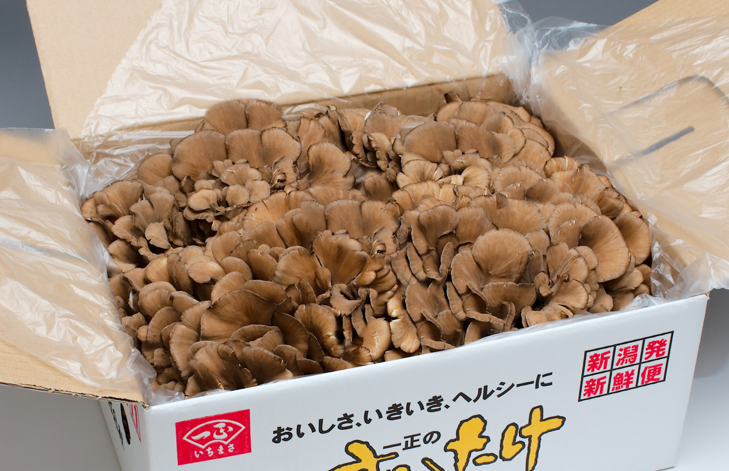 一正のまいたけ 四株（いちまさオンラインショップ）｜おとりよせネット