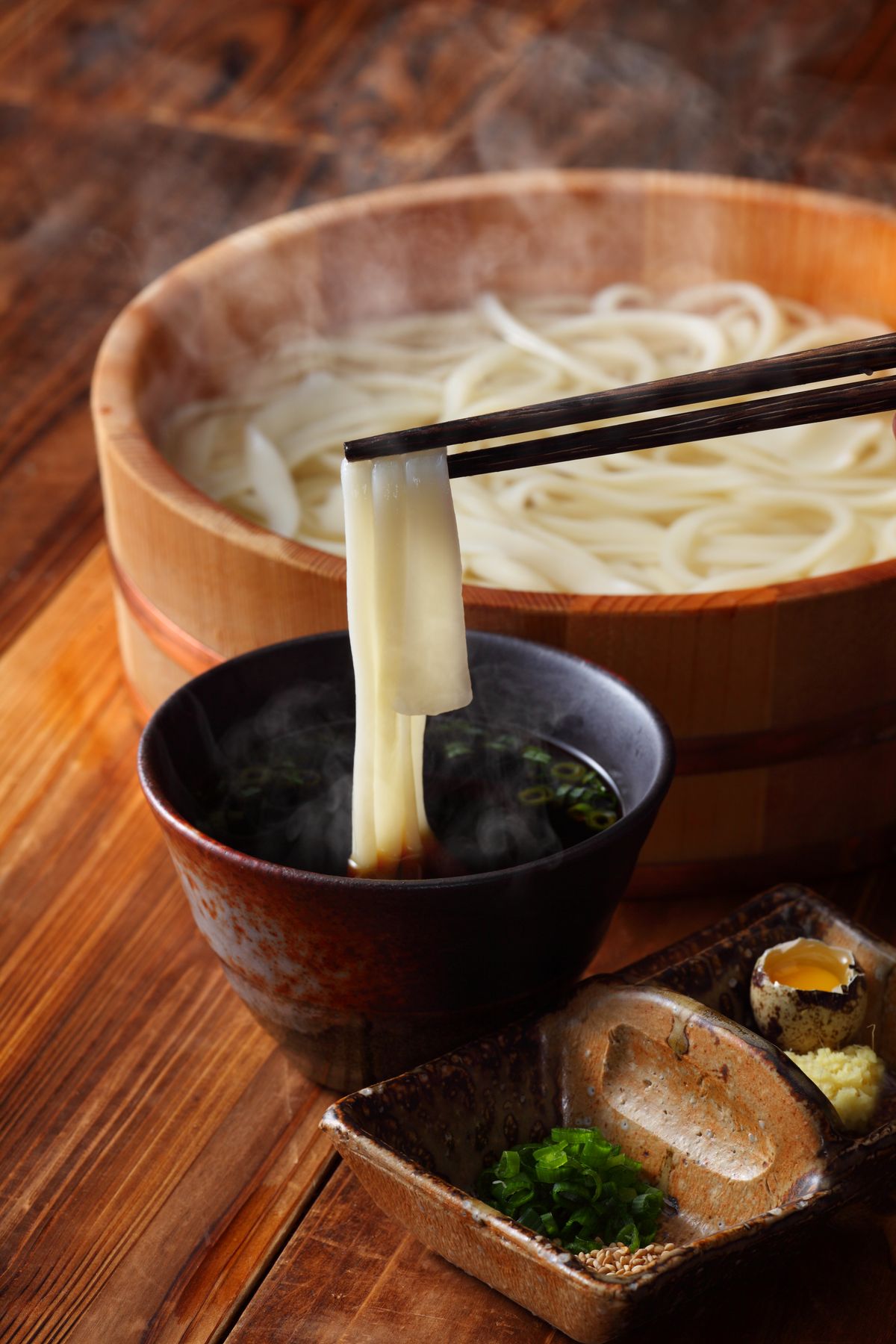 半生うどん｢つけつゆ付｣（かも川手延素麺）｜おとりよせネット