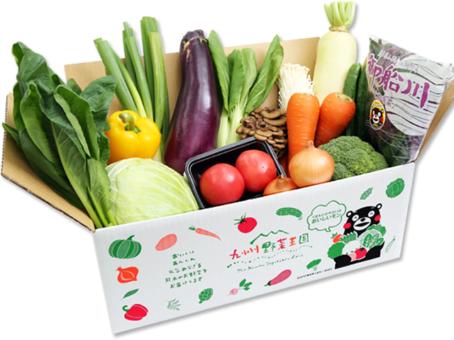 元気野菜セットお手軽（S）コース10品目（九州野菜王国）｜おとりよせ
