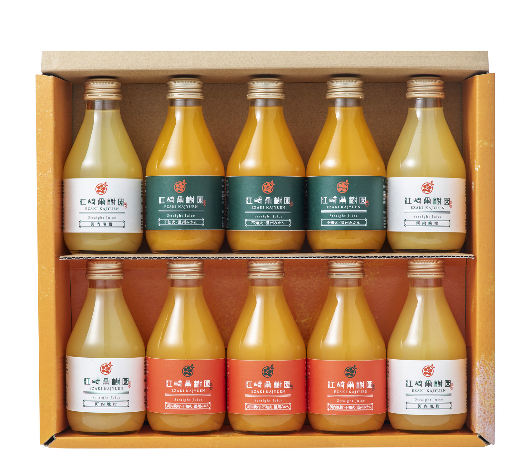 柑橘ストレートジュース詰め合わせ10本セット（おいどん鹿児島ドット