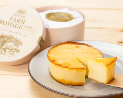チーズケーキセット(FARM FROMAGE)（小岩井農場）｜おとりよせネット