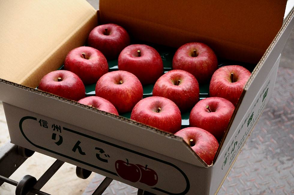 サンふじ 特秀 5kg（サンふじ専門農園小西園）｜おとりよせネット
