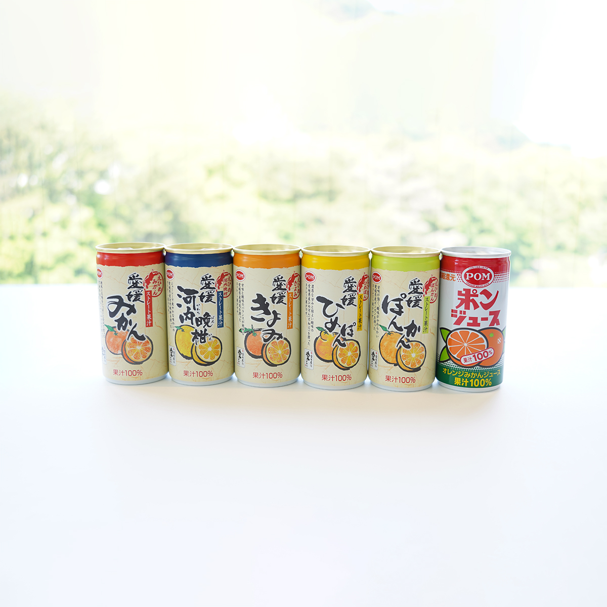味わい柑橘の詰合せギフト(10本)（えひめ逸品）｜おとりよせネット