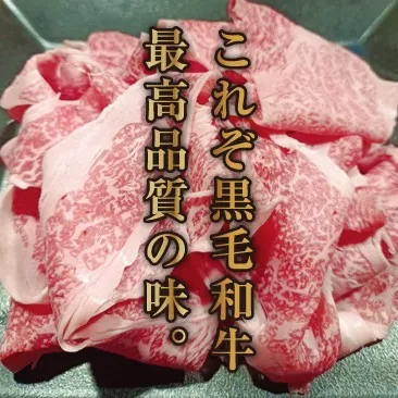A5黒毛和牛切り落とし1kg ボリュームセット（道頓堀みつる